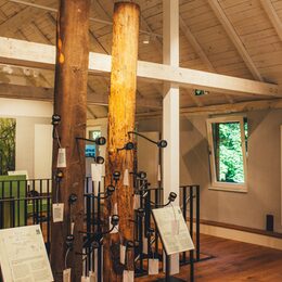 Ausstellungsraum im Haus der Natur