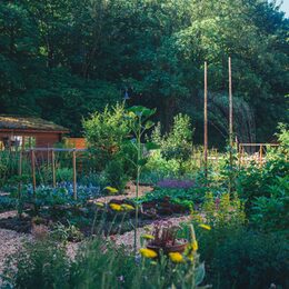 Stauden und Beete im Bauerngarten am Haus der Natur