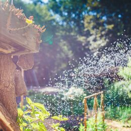 Blick auf einen Wassersprenger im Bauerngarten am Haus der Natur