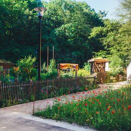 Der Bauerngarten am Haus der Natur