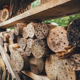 Insektenhotels aus Baumstämmen