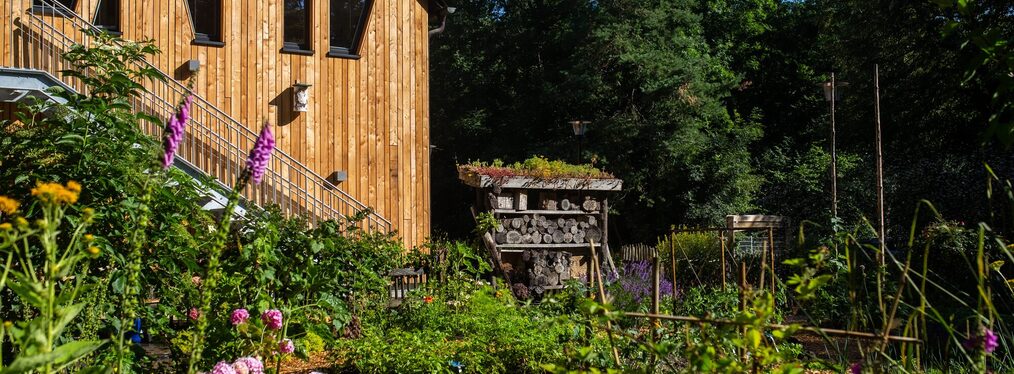 Ein Garten mit verschiedenen heimischen Gemüsepflanzen und Kräuter.