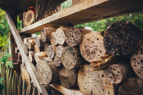 Insektenhotel aus Baumstämmen