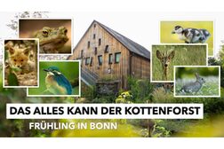 Die Fotocollage zeigt das Haus der Natur und mehrere Tierfotos