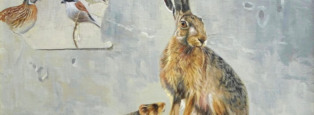 Eine Feldmaus sitzt vor einem Feldhasen
