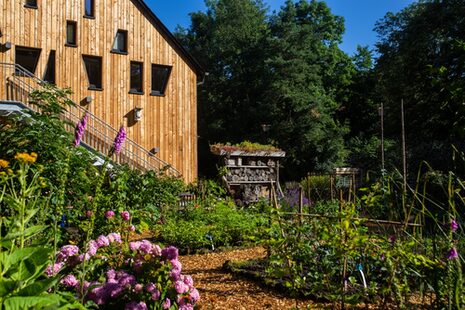 Garten vor dem Haus der Natur