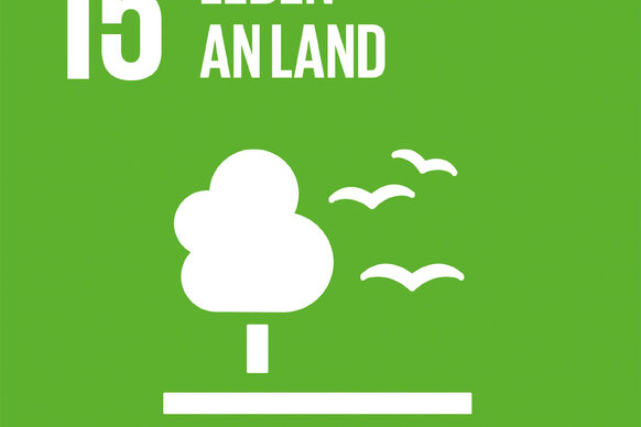 Illustration zum Sustainable Development Goal 15