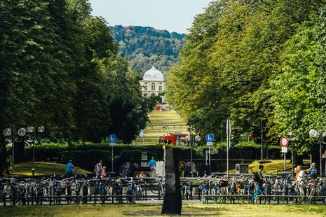 Widok z Kaiserplatz przez Poppelsdorfer Allee na pałac Poppelsdorf