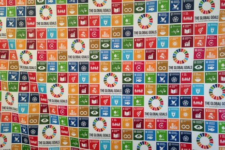 17 Sustainable development goals